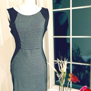 Navy & White Poker Dot Dress
